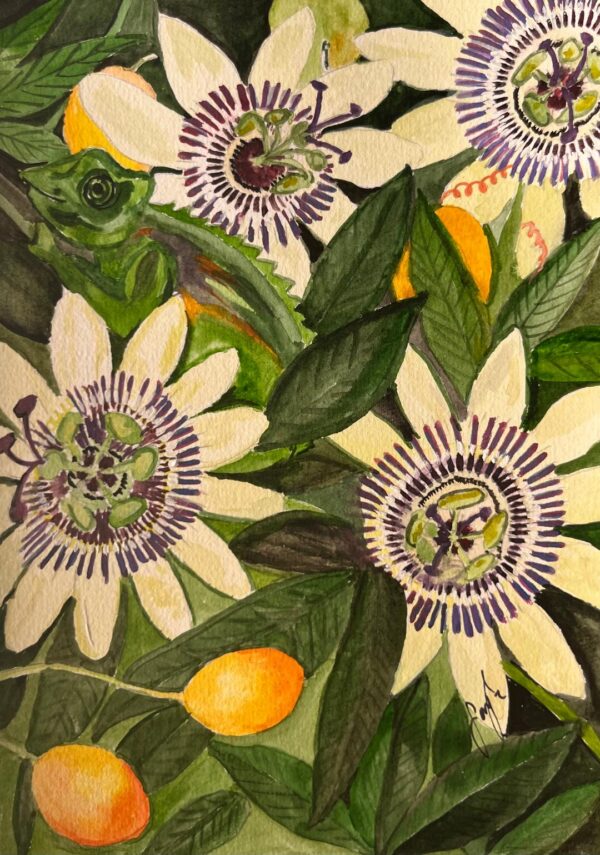 Passionsblumen mit Camäleon